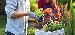 Garten & Umwelt