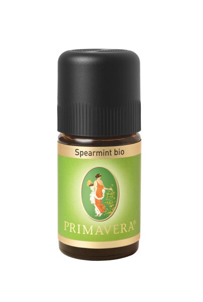 Primavera Spearmint bio Ägypten